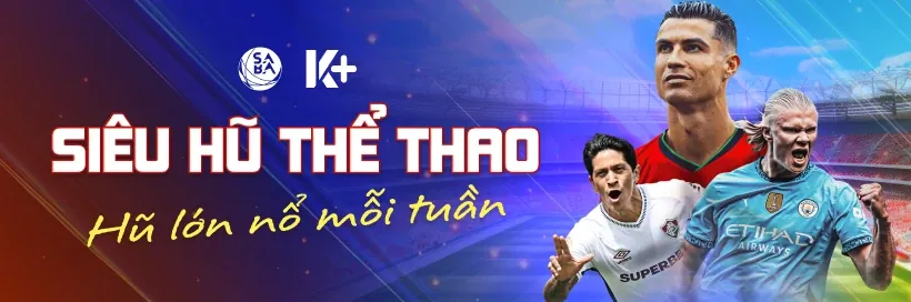 Hình ảnh minh họa hướng dẫn cá cược thể thao pun88 win
